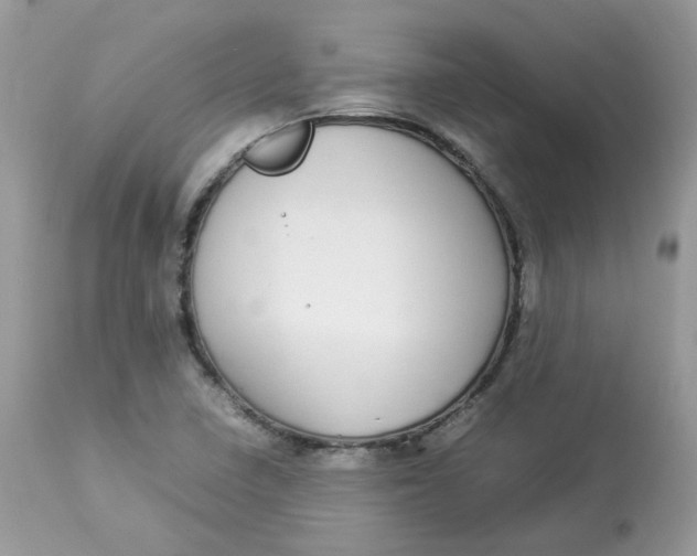 X0000112871410200909111522