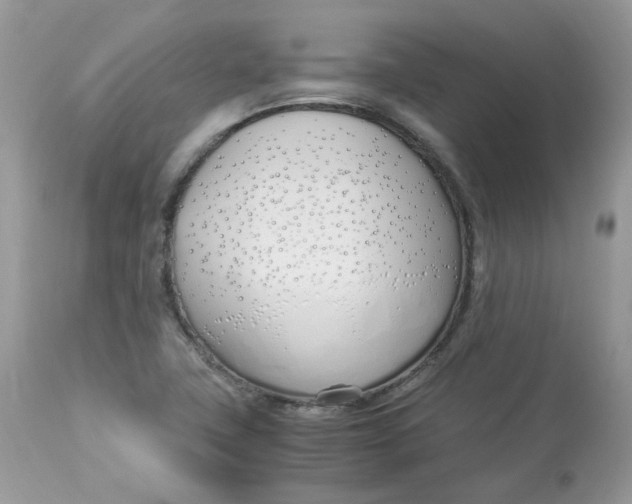 X0000112871411200909111522