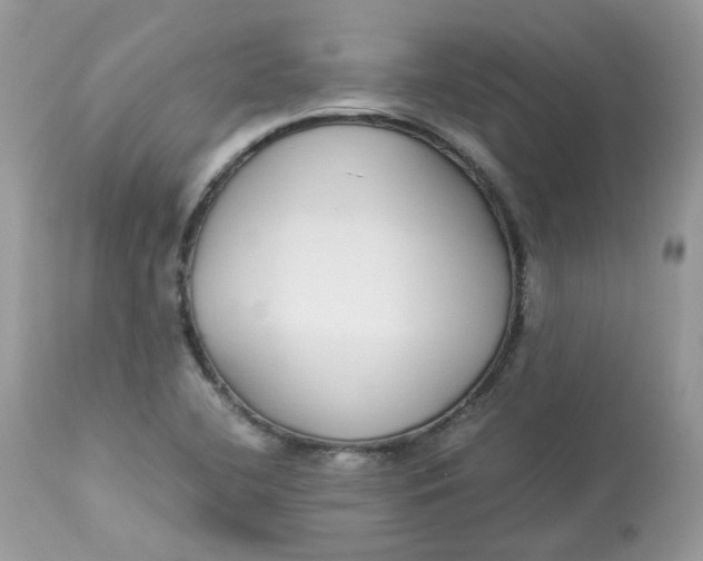 X0000112871412200909111522