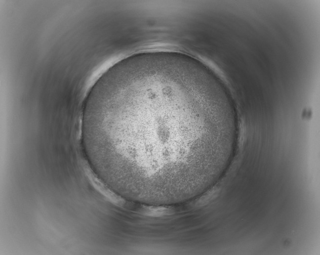 X0000112871413200909111522