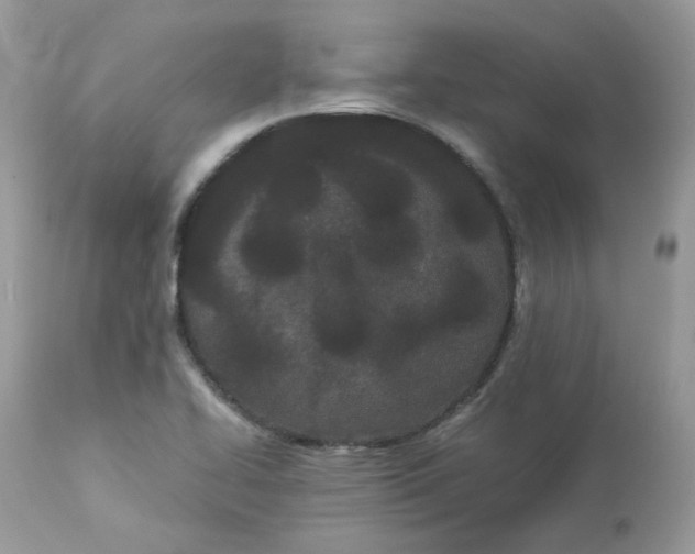 X0000112871414200909111522