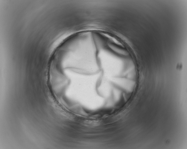 X0000112871415200909111522