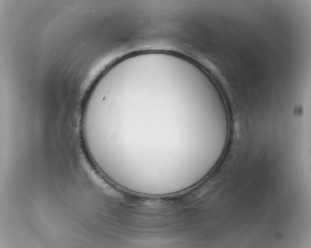 X0000112871416200909111522