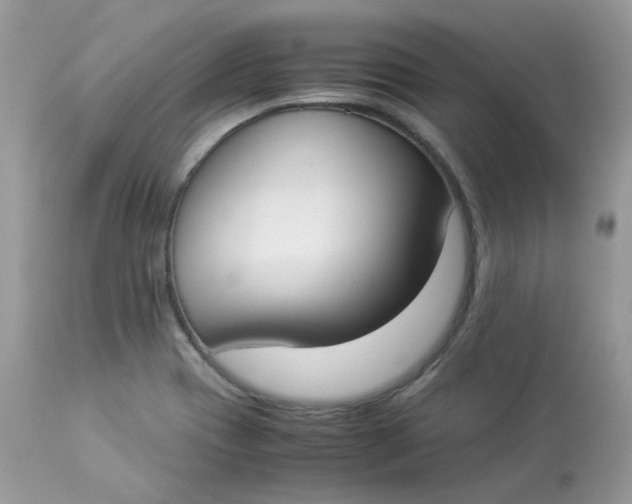 X0000112871417200909111522