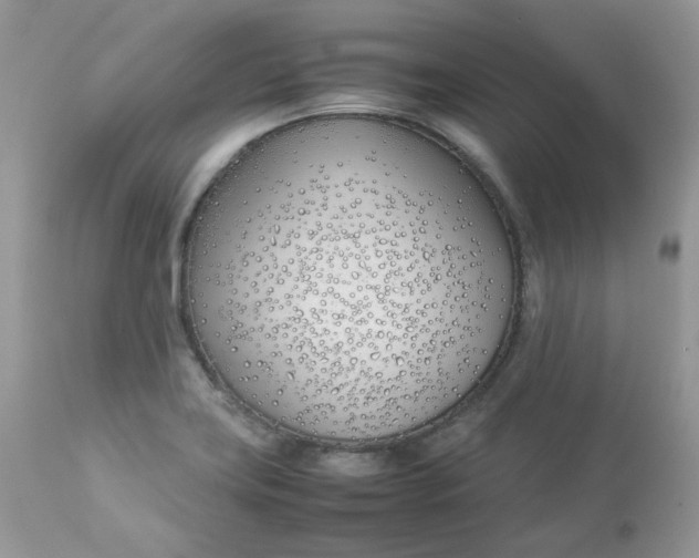 X0000112871419200909111522