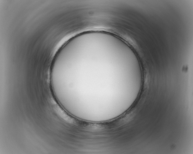 X0000112871420200909111522