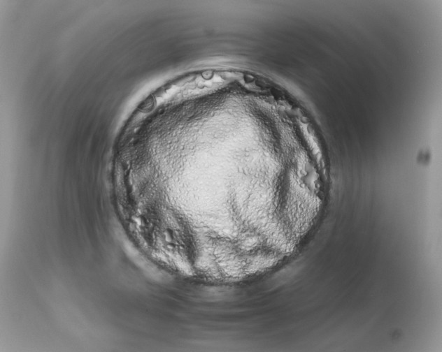 X0000112871421200909111522