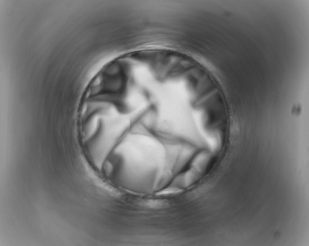 X0000112871423200909111522