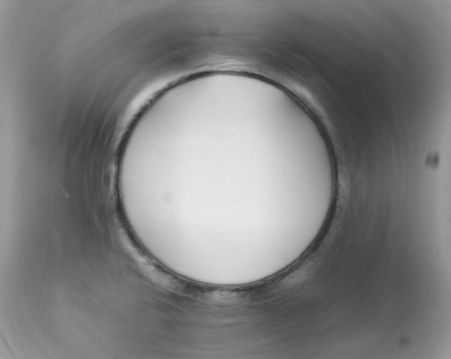 X0000112871424200909111522