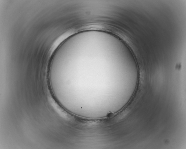 X0000112871426200909111522