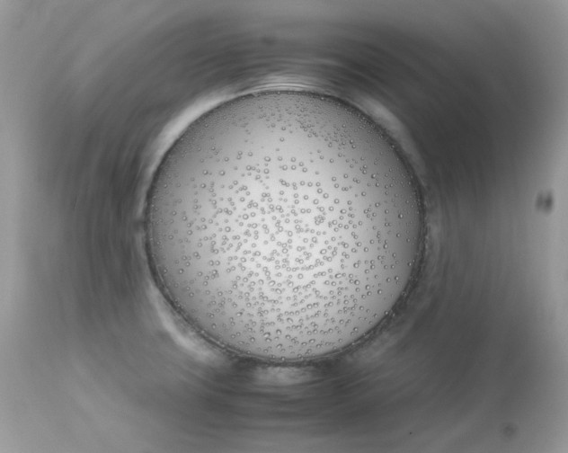 X0000112871427200909111522