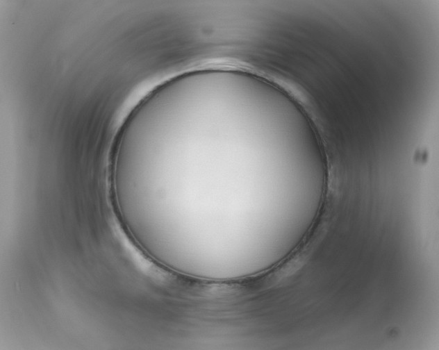 X0000112871430200909111522