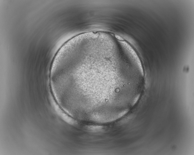 X0000112871431200909111522