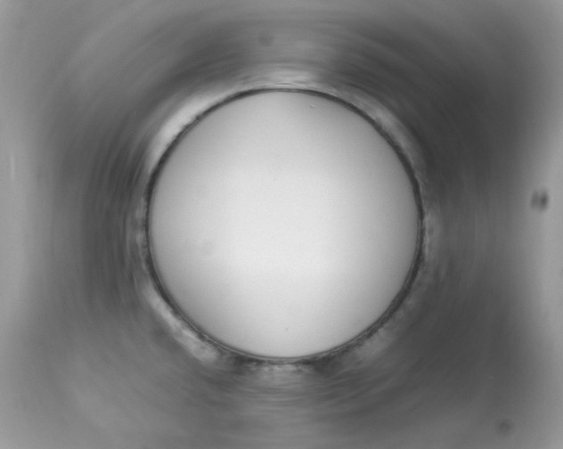 X0000112871432200909111522