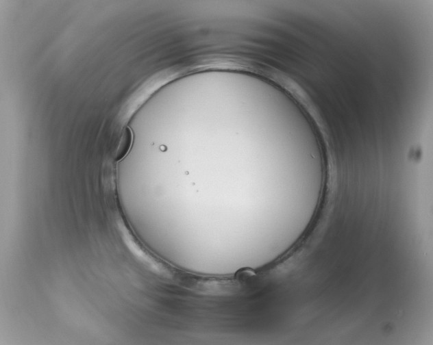 X0000112871433200909111522