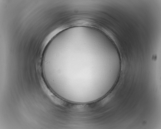 X0000112871434200909111522