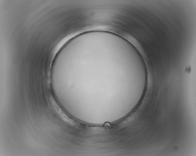 X0000112871436200909111522