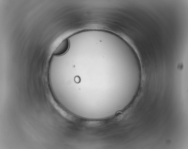 X0000112871437200909111522