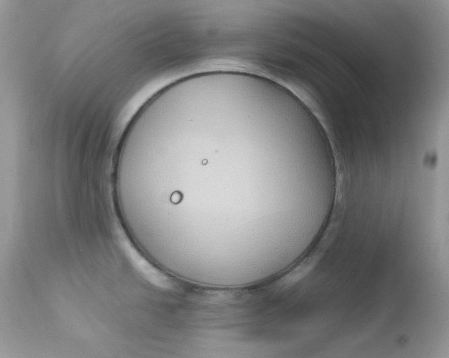 X0000112871438200909111522