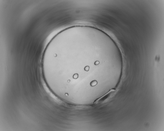 X0000112871440200909111522