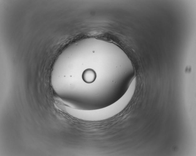 X0000112871441200909111521