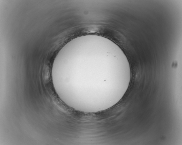 X0000112871442200909111521