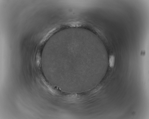 X0000112871444200909111521