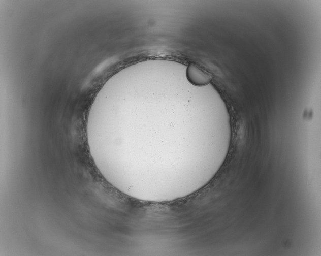 X0000112871446200909111521