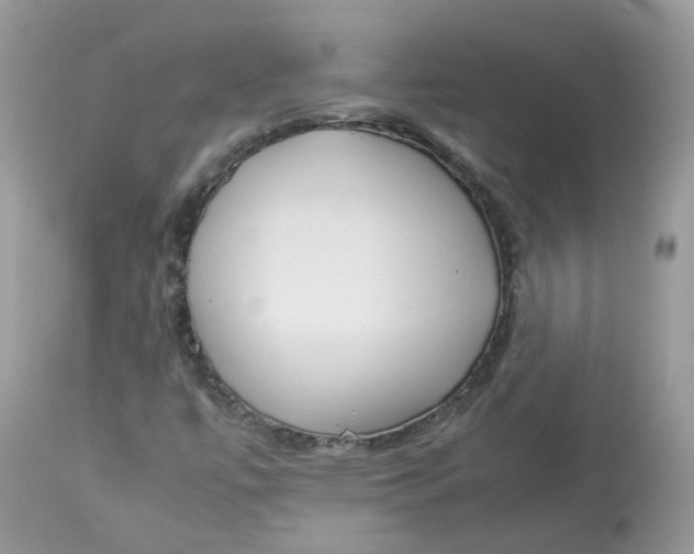 X0000112871447200909111521