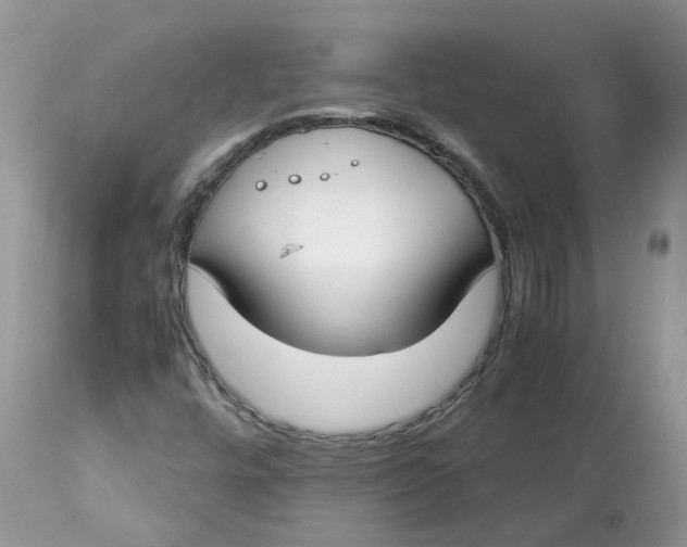 X0000112871448200909111521