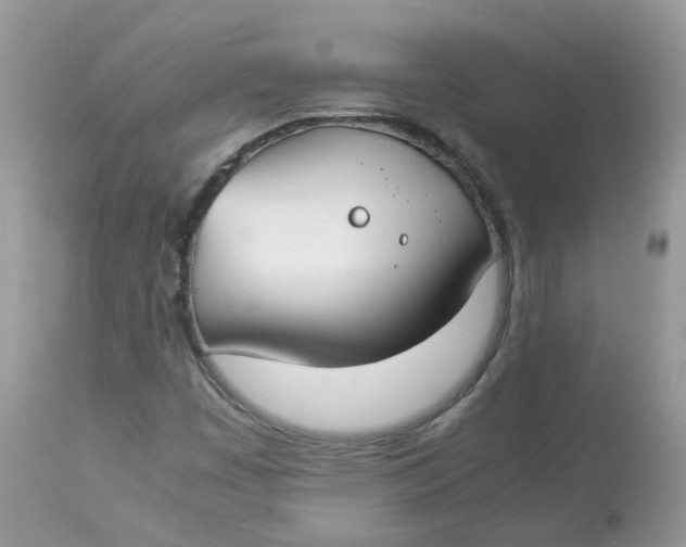 X0000112871449200909111521