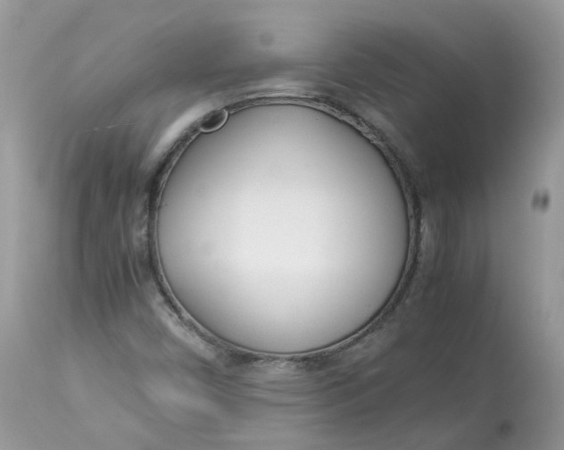 X0000112871450200909111521