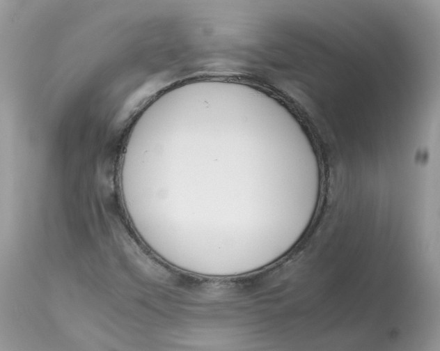 X0000112871451200909111521