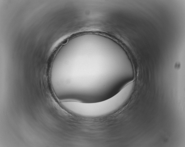 X0000112871452200909111521