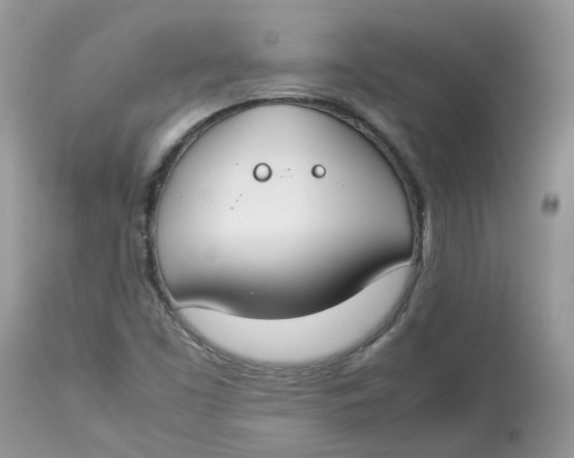 X0000112871453200909111521