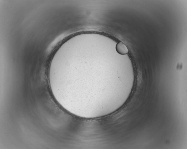 X0000112871454200909111521