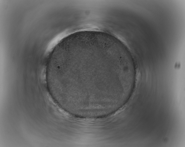 X0000112871455200909111521