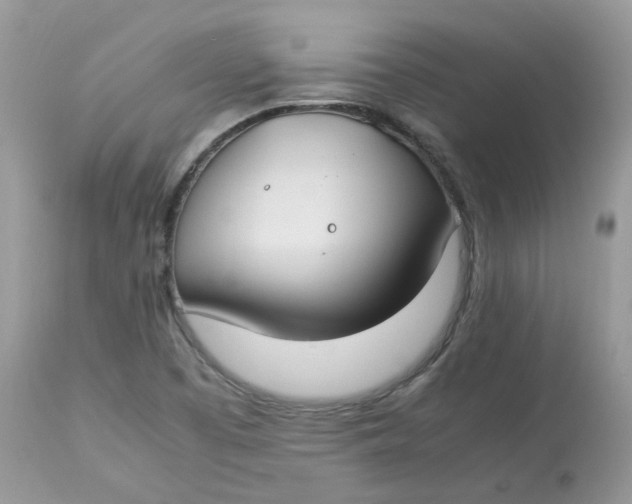 X0000112871457200909111521