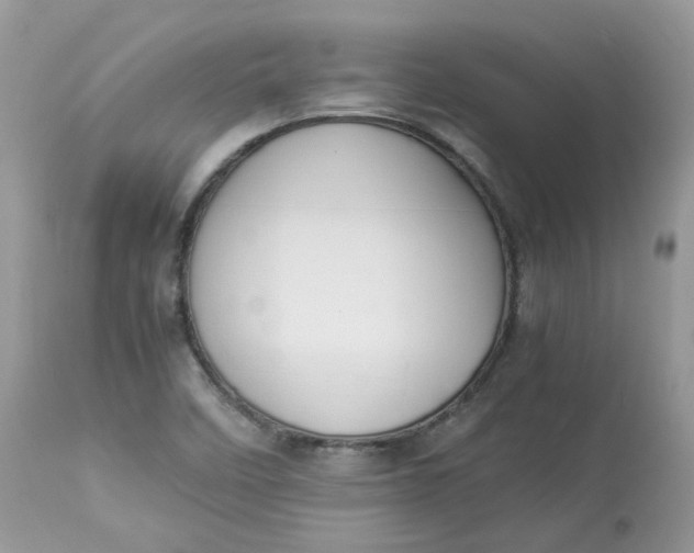 X0000112871458200909111521