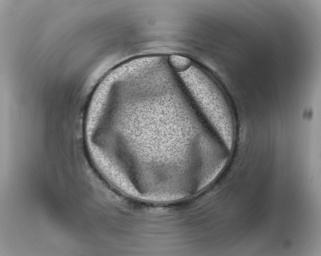 X0000112871459200909111521