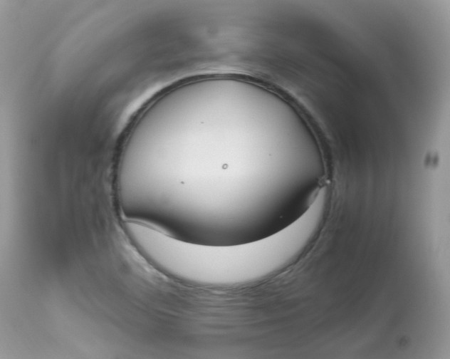 X0000112871460200909111521