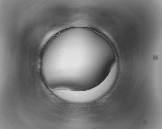 X0000112871461200909111521