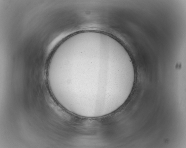 X0000112871462200909111521