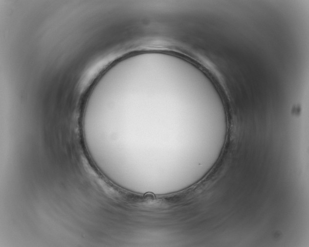 X0000112871464200909111521