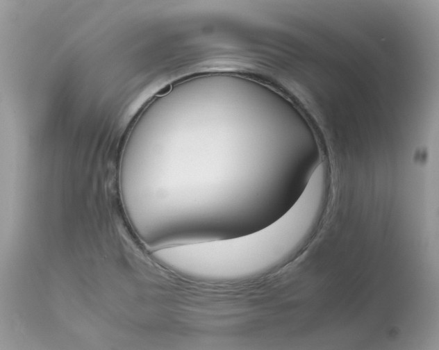 X0000112871465200909111521