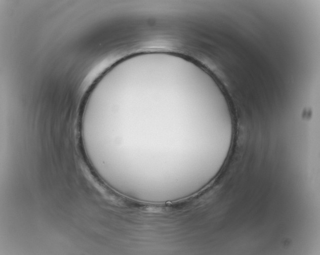 X0000112871469200909111521