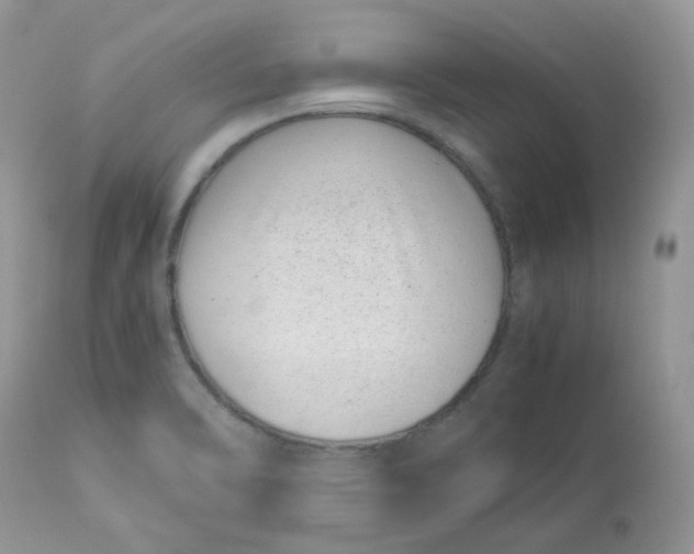 X0000112871470200909111521