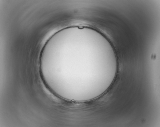 X0000112871471200909111521