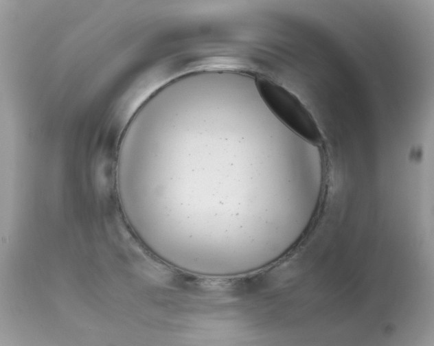 X0000112871473200909111521