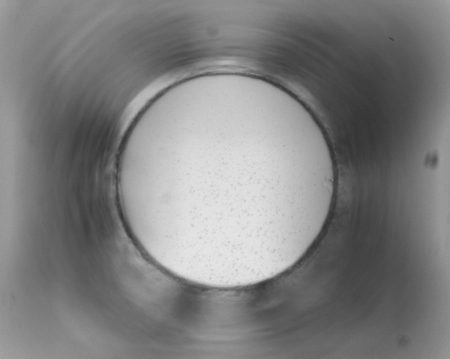 X0000112871474200909111521